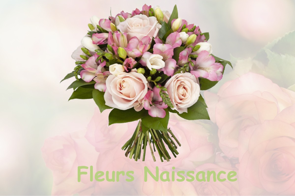 fleurs naissance BLOIS-SUR-SEILLE