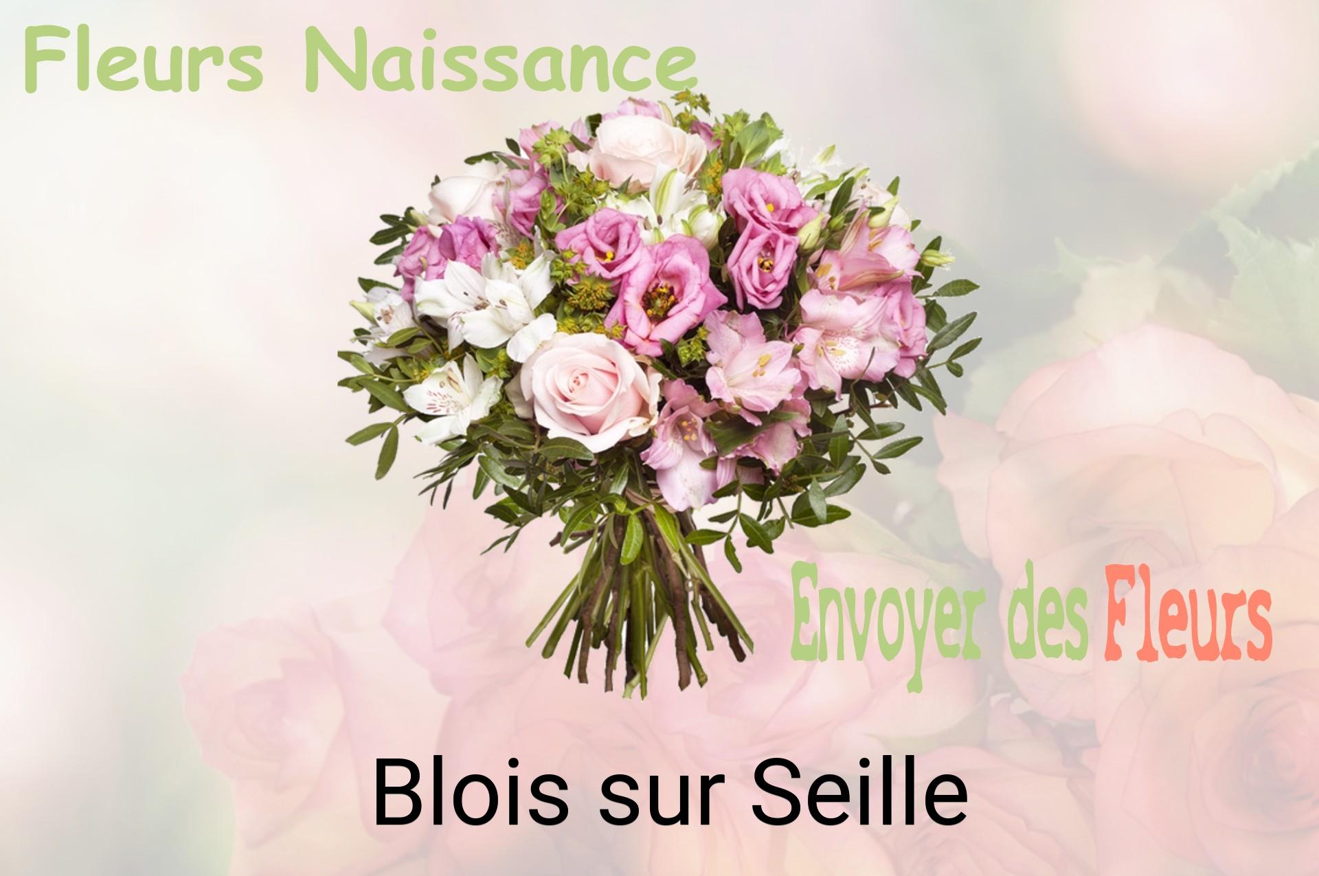 Bouquet de fleurs de naissance livré à Blois-sur-Seille