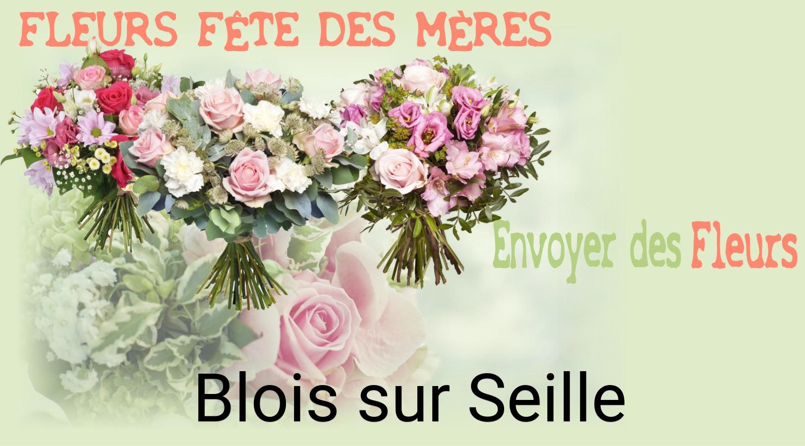 Bouquet de Fête des Mères livré à Blois-sur-Seille