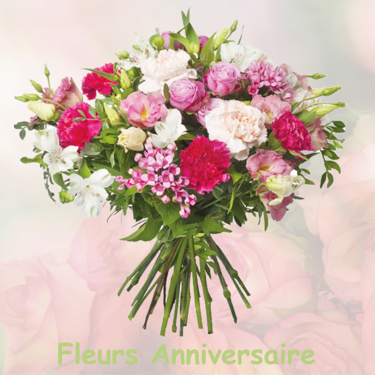 fleurs anniversaire BLOIS-SUR-SEILLE