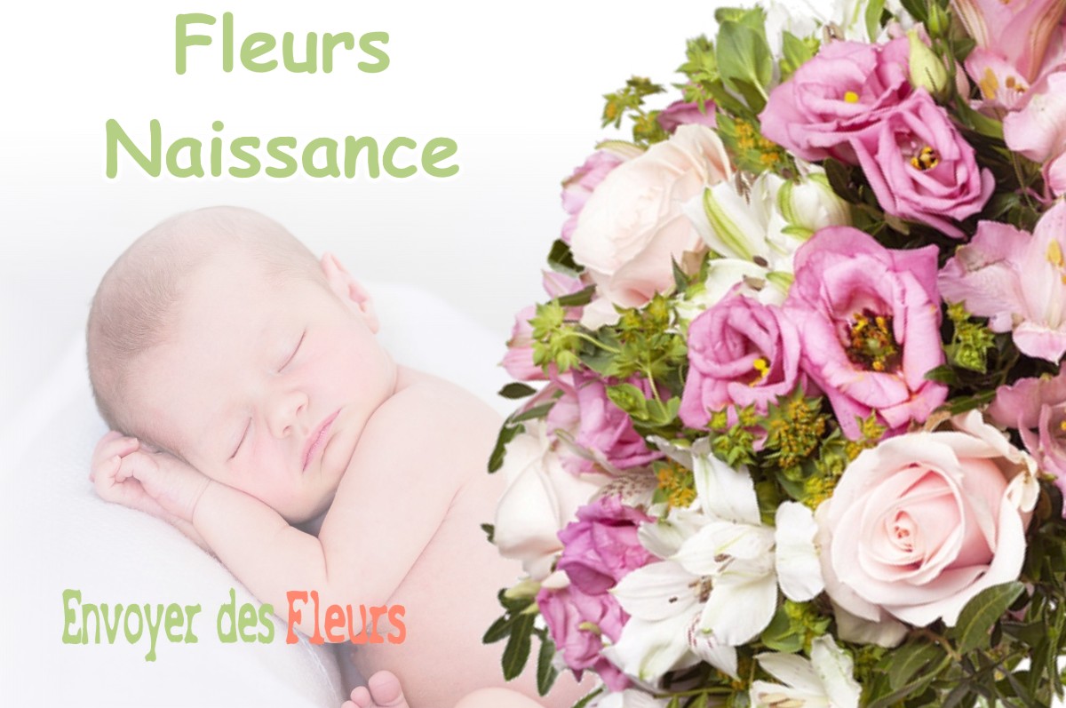 lIVRAISON FLEURS NAISSANCE à BLOIS-SUR-SEILLE